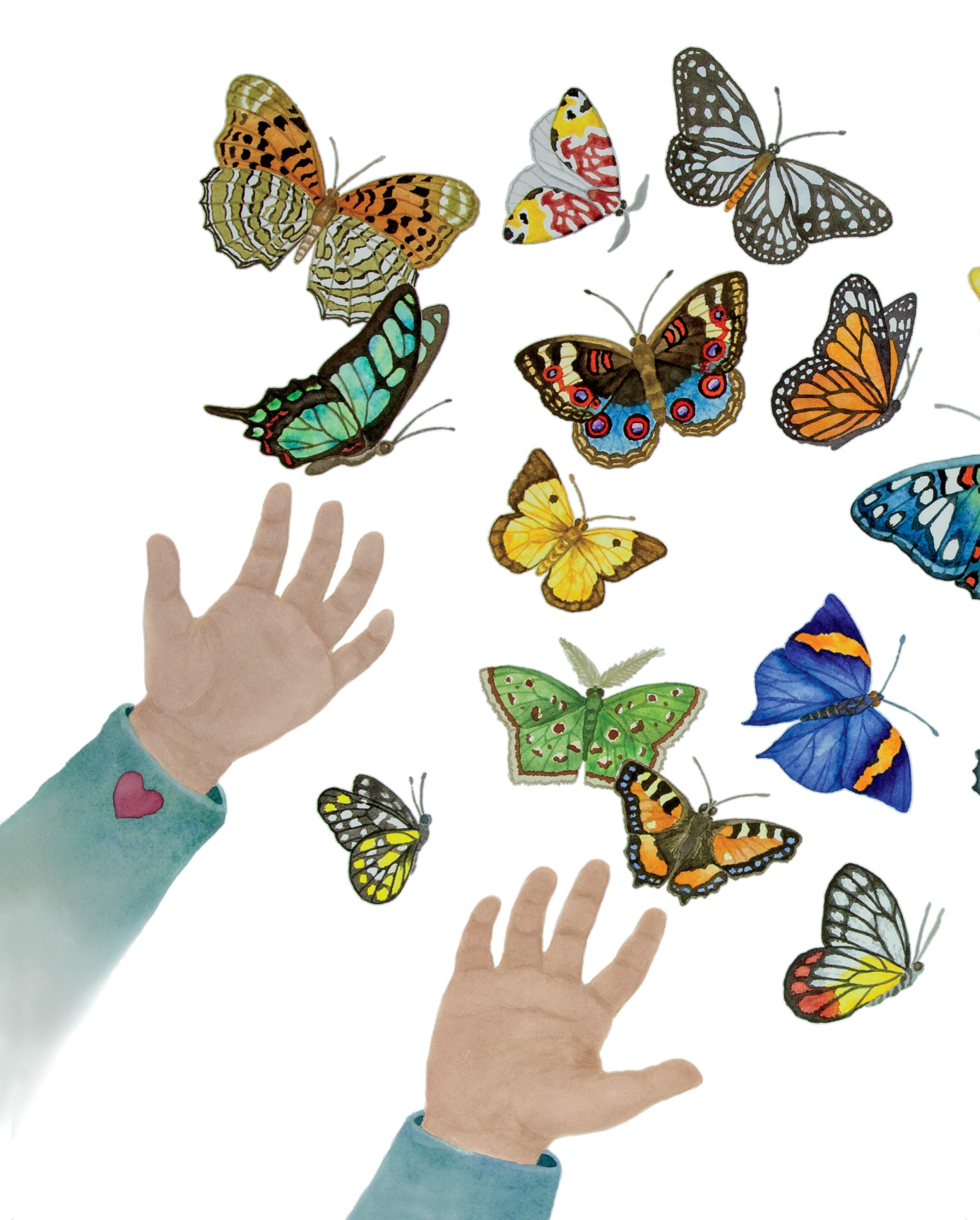 Druk and Mita - Image 4